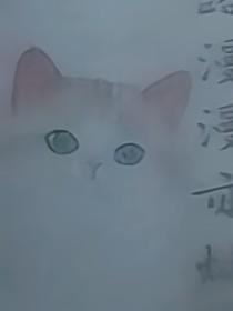 cp來啦