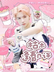 九尾：暴躁狐貍調(diào)教日記