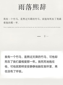 雨落熙辞