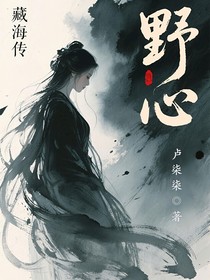 藏海傳：野心