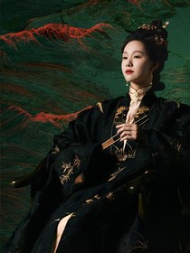 藏海傳：貴女