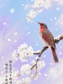 楊花，落盡子規(guī)啼