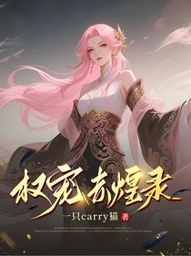 權(quán)寵赤煌錄