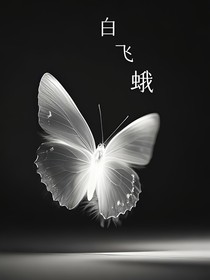 白飛蛾