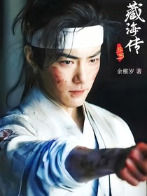 藏海傳：攻心