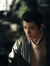 藏海传：大人你不要这样啊