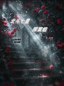 北斗七星探案组