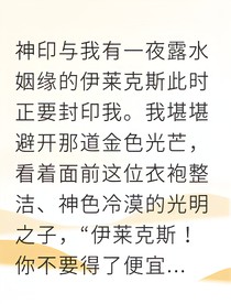 輪回與光明的禁忌之戀我終將破開宿命