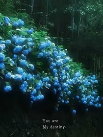 里寒墨冰