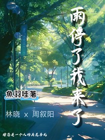 雨停了我来了