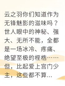 云之羽之毒妃竟是敵國女探