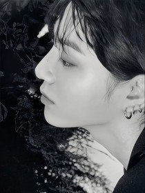 BTS：鎏金醉