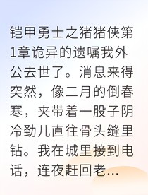 铠甲勇士之辰戌纪