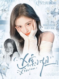 TNT：凶案小姐