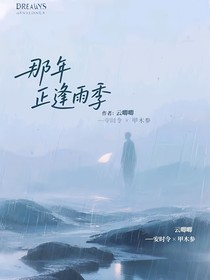 那年正逢雨季