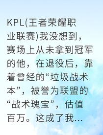 那個(gè)百萬(wàn)估值的戰(zhàn)術(shù)本