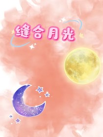 縫合月光