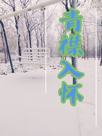 青襟入怀
