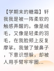 月下糖霜与星河之约