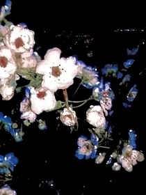 契约苏醒