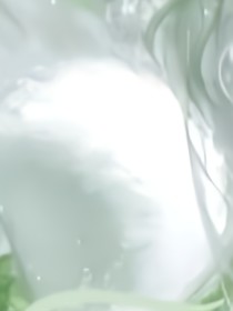 书名正在修改1748078496081491313