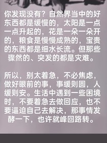 单翼飞翔