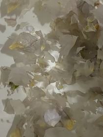 乱承糜烂