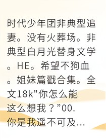 我的月亮观察员