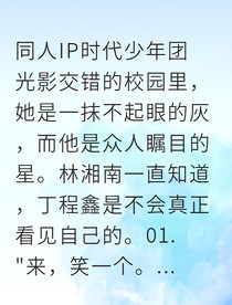向南走：我的闪耀男孩