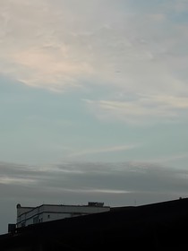 风琴本
