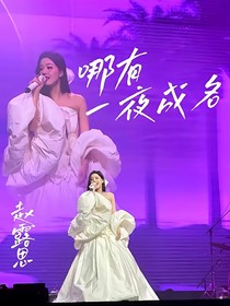 哪有一夜成名？