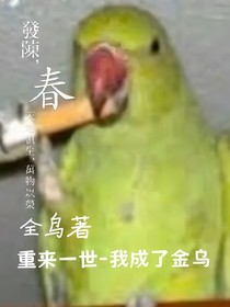 重來一世—我成了金烏