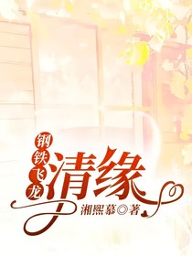 钢铁飞龙：清缘