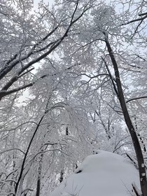 竹马哥哥蓄谋已久