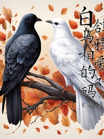 白鸽乌鸦相爱的戏码