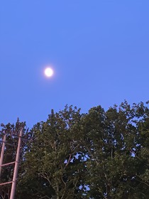 樓文：后風吹
