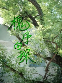槐序向琛