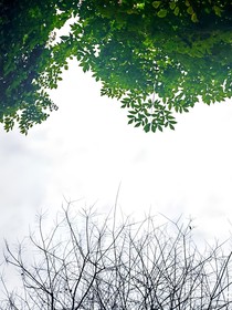 我在冬天離春天來了的時候走了