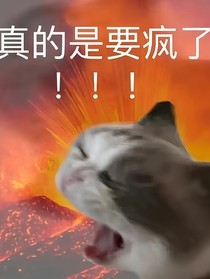 一段野史：作者的初中三年黑歷史