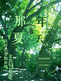 那年夏天的心