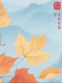 念往事安康