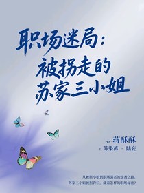 職場(chǎng)迷局：被拐走的蘇家三小姐