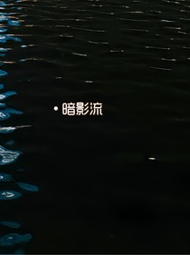 暗影流