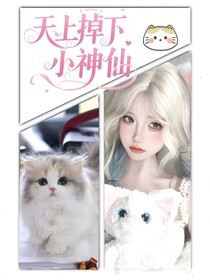 TNT：天上掉下个小神仙