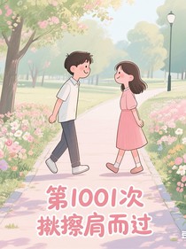 第1001次擦肩而过