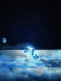莲花楼：莲花劫