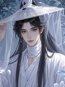 天官：谢怜游历世间的那些年