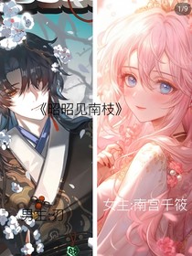 昭昭见南枝
