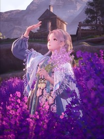 綜斗1：四時常春