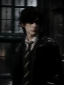 HP：布萊克在霍格沃茲當萬人迷